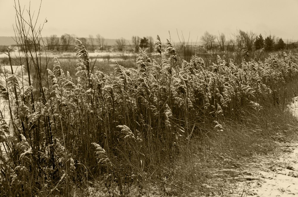 Photograph by Константин