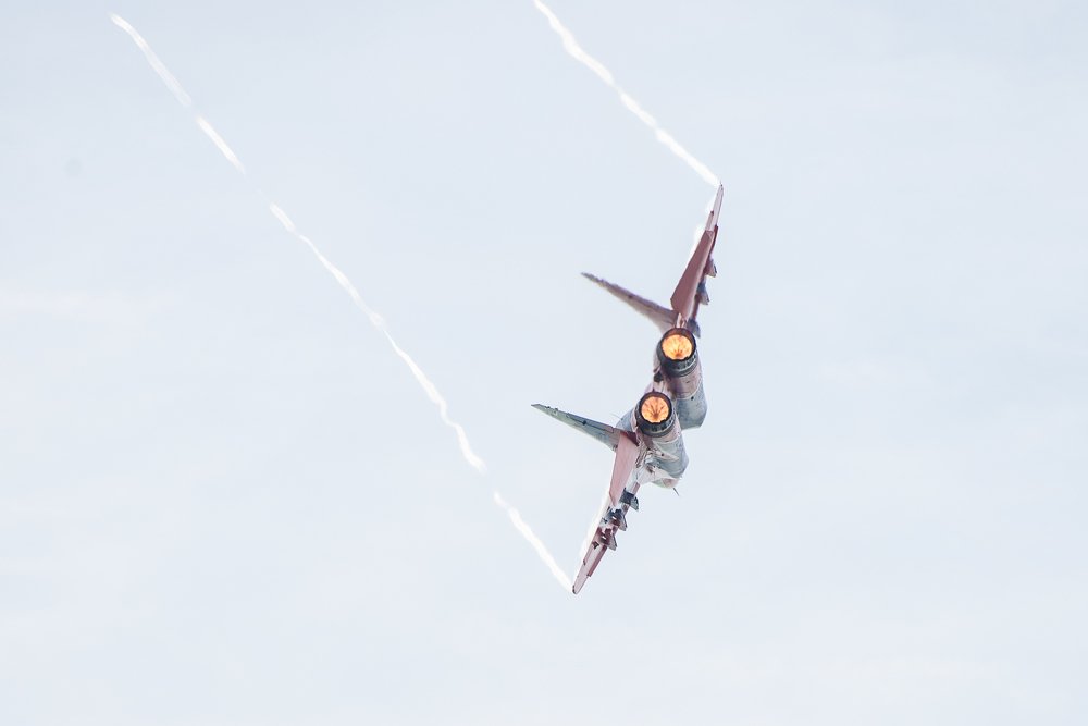 Соло Стрижа