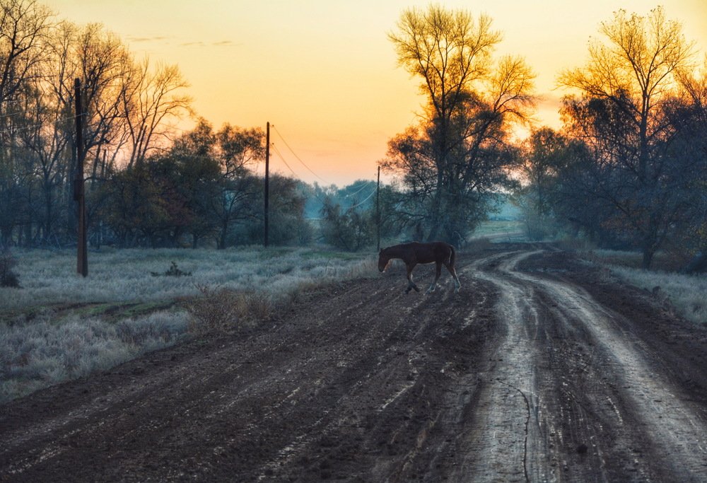 Photograph by Денис Козьяков