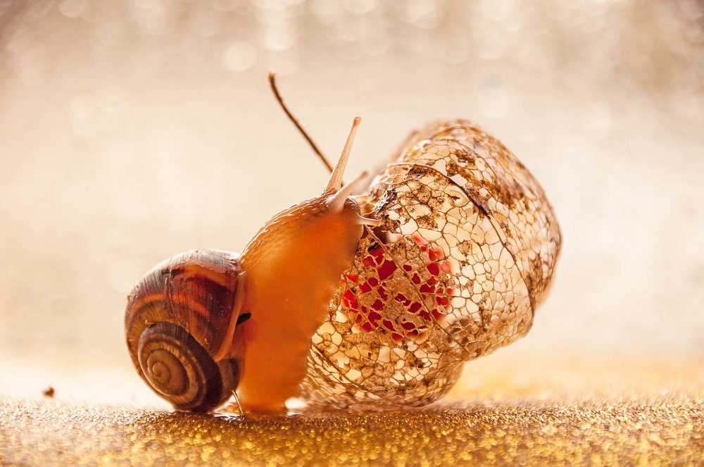 Photograph by Олеся