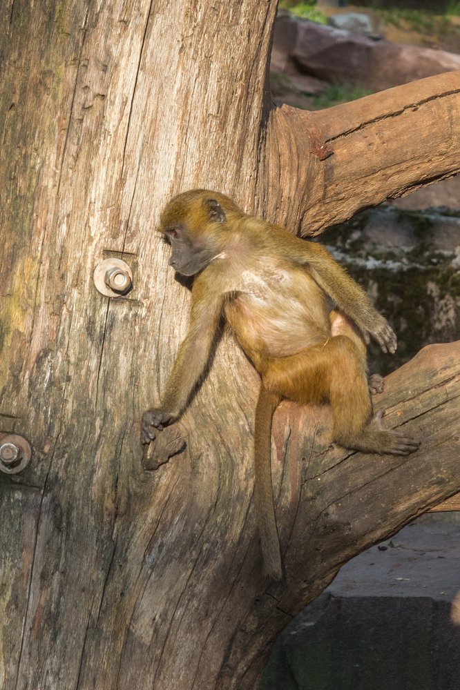 Photograph by Сергей Ослопов