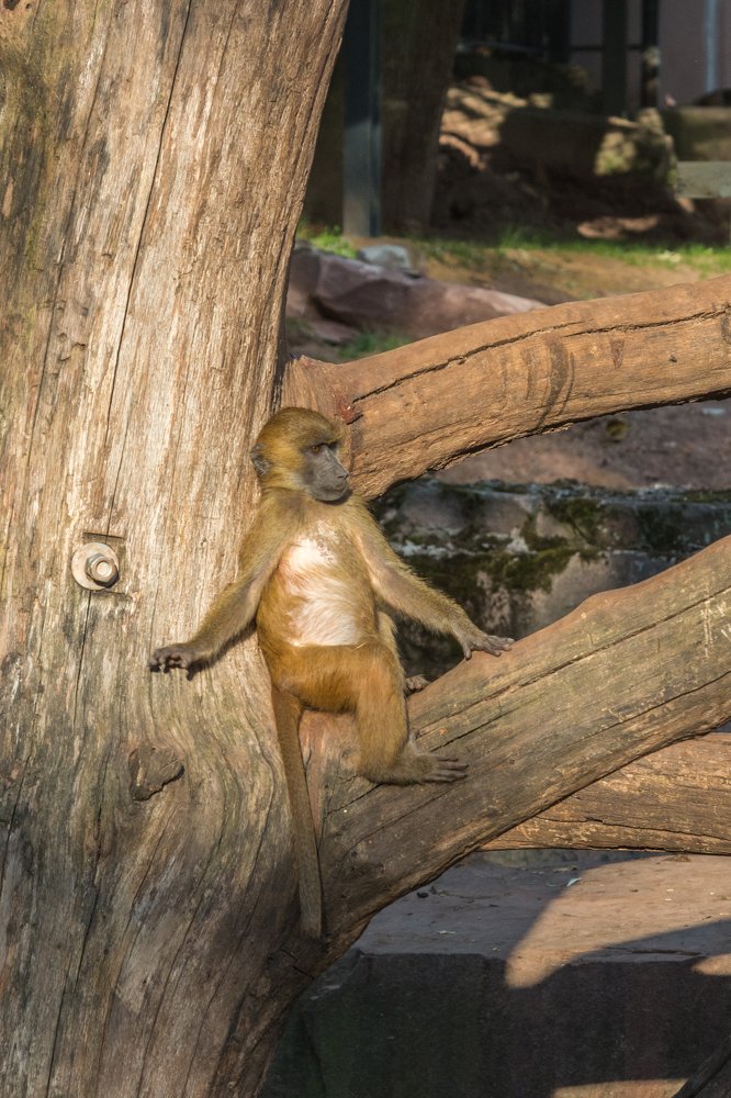 Photograph by Сергей Ослопов