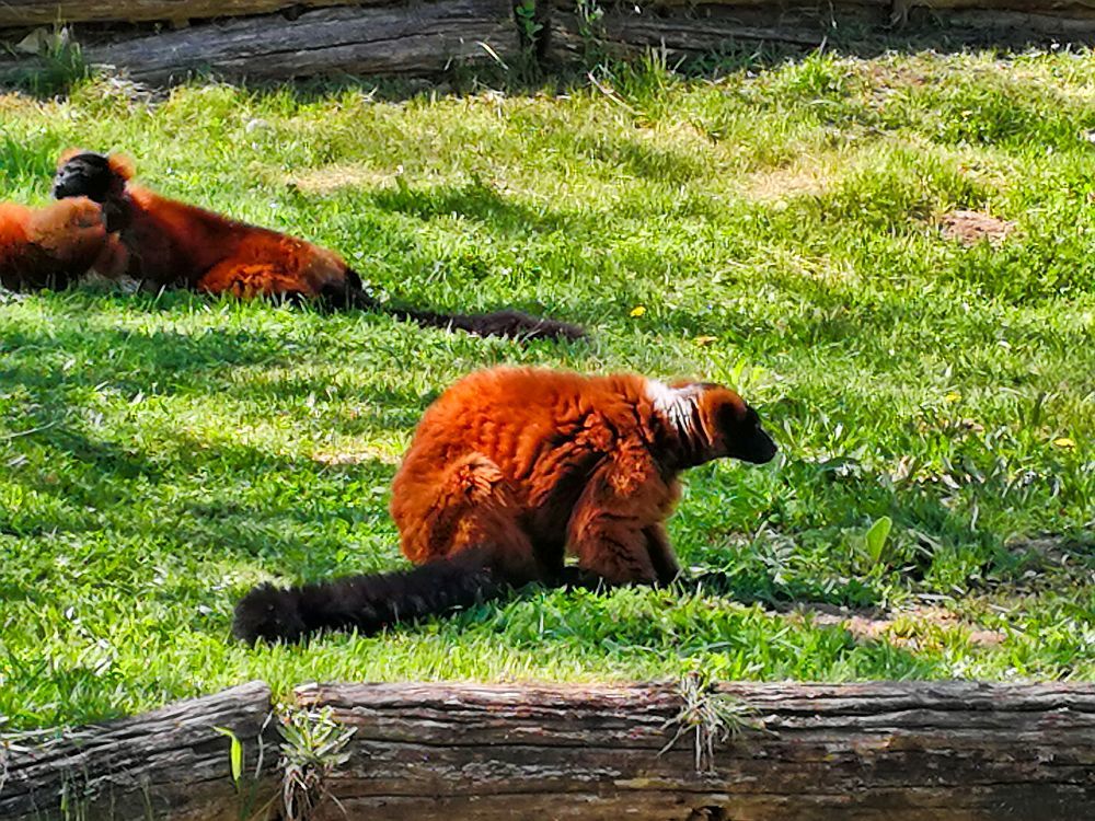 Photograph by Sandor Zoltan Gal