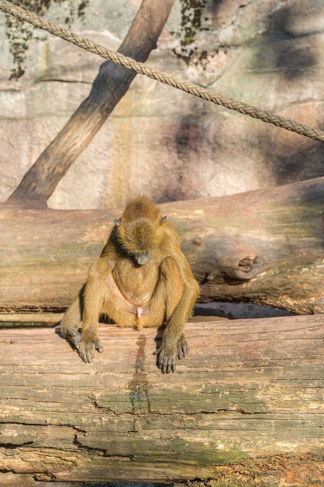 Photograph by Сергей Ослопов