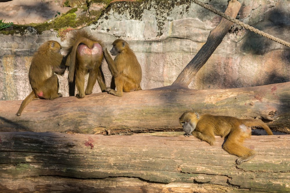 Photograph by Сергей Ослопов