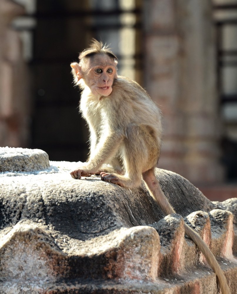 Photograph by Наталья Поспелова