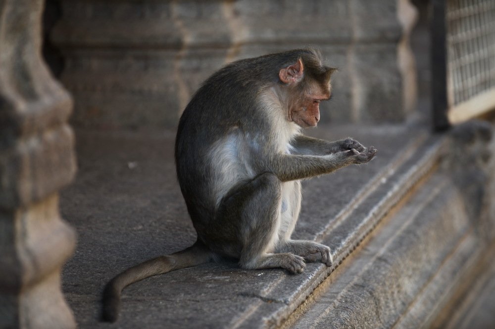 Photograph by Наталья Поспелова