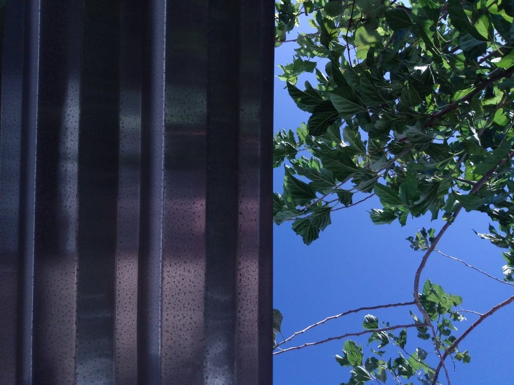 Photo #4192600