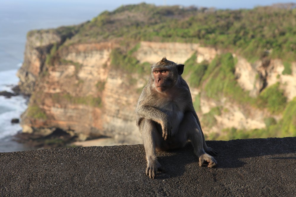Photograph by Наталья Поспелова
