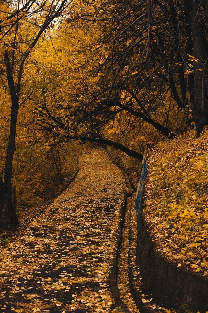 Photograph by Алексей Сулла