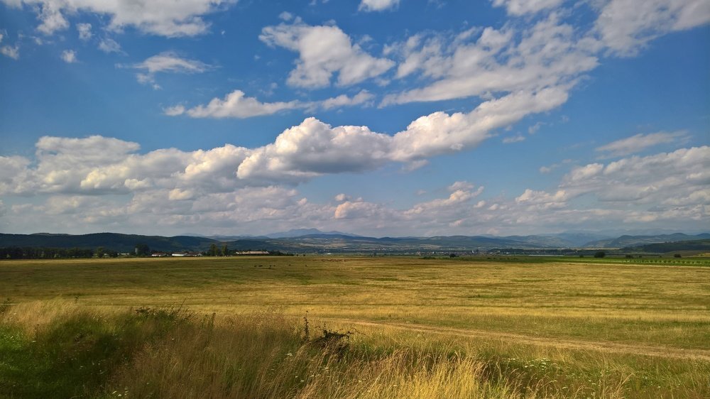 Photo #4192853