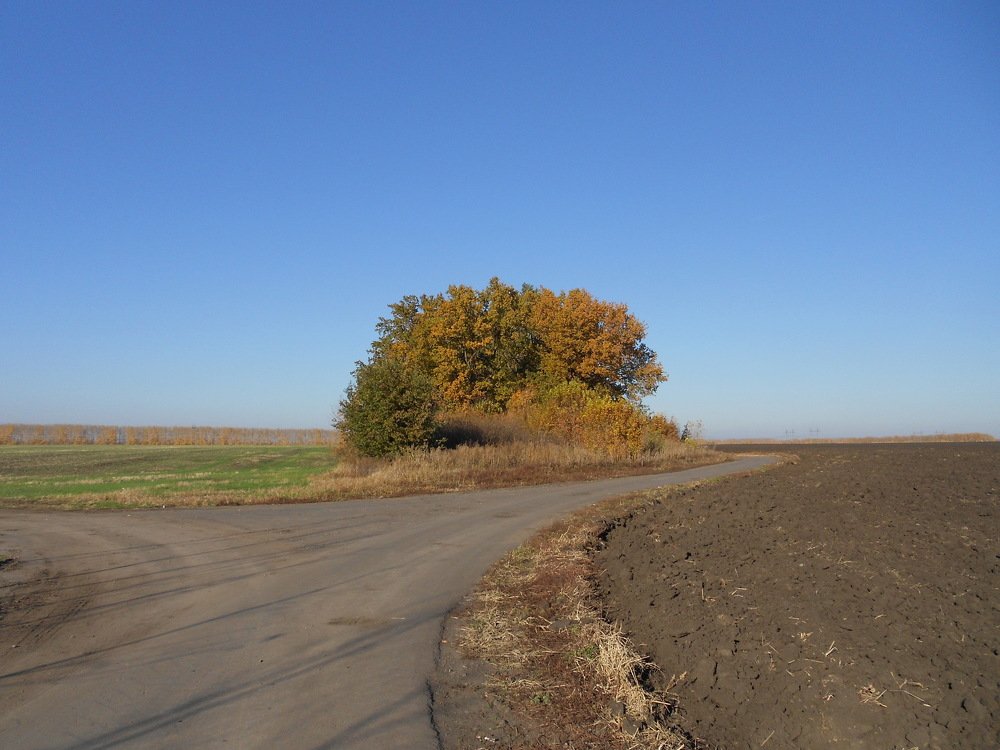 Photograph by Светлана Пивоварова