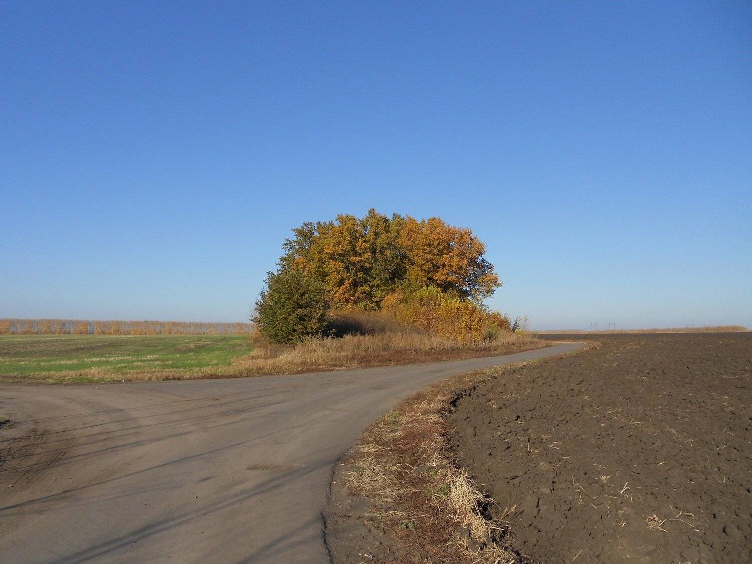 Photo #4192867