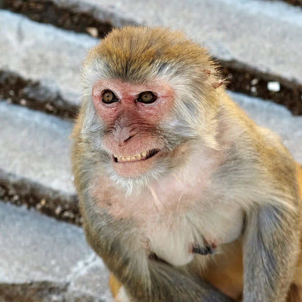 Фотография автора Сергей Низовцев