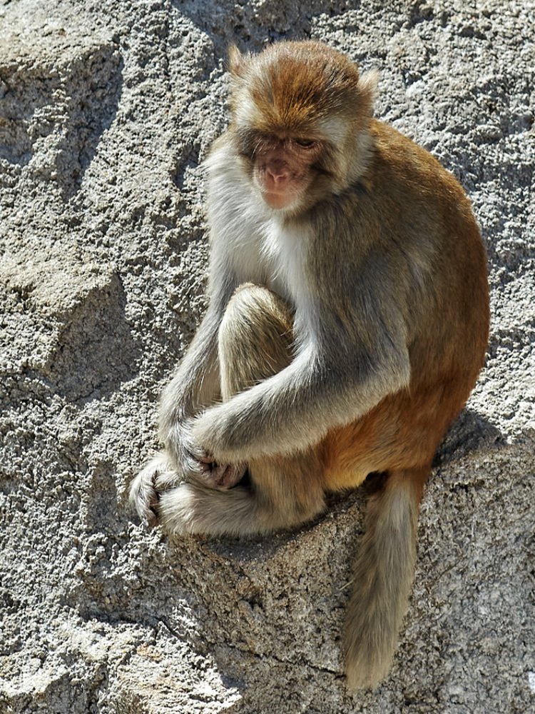 Фотография автора Сергей Низовцев