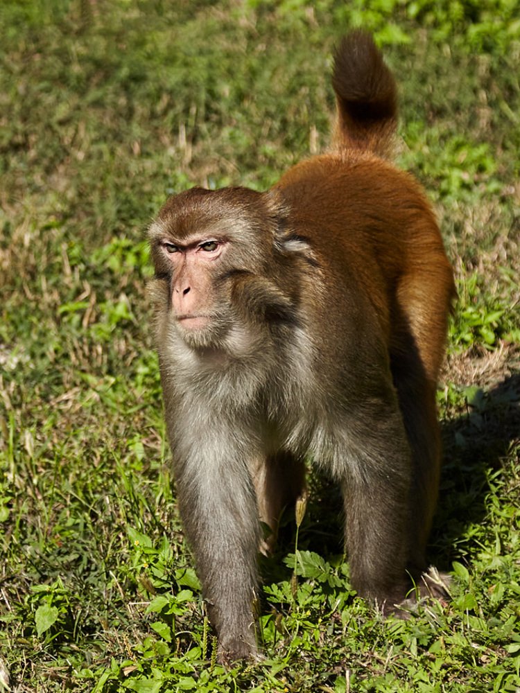 Фотография автора Сергей Низовцев