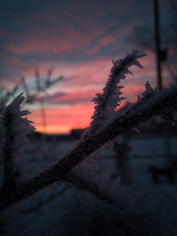 Photo #4192905