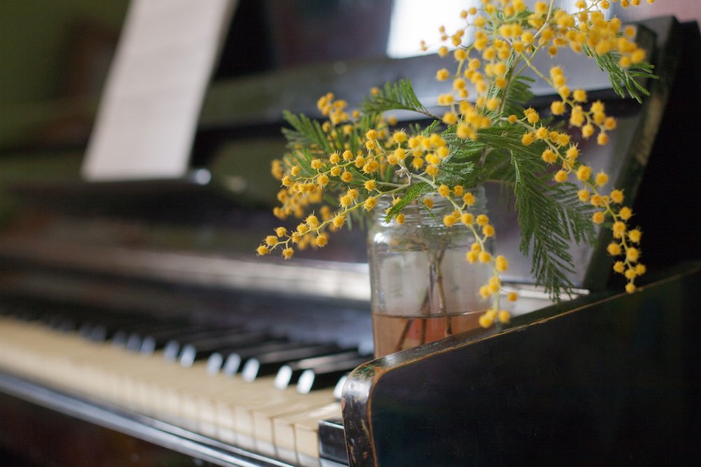 Photograph by Катя ГРИН