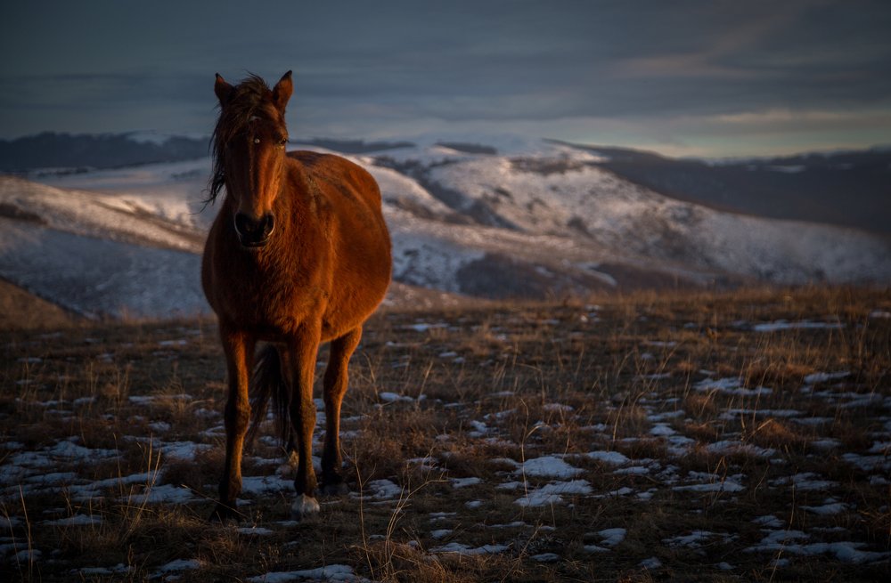 Photograph by Павел Мягких