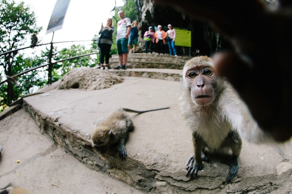 Photograph by Anna Markova