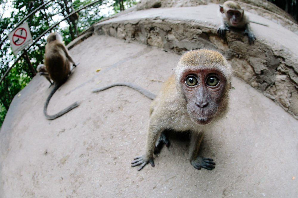 Photograph by Anna Markova