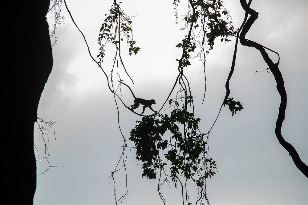 Photograph by Anna Markova