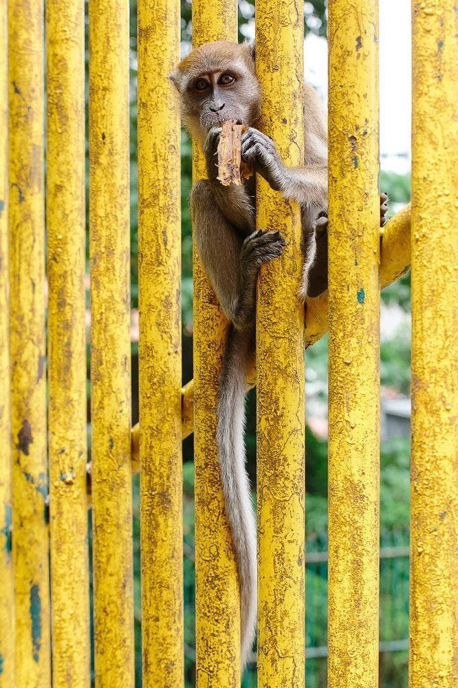 Photograph by Anna Markova