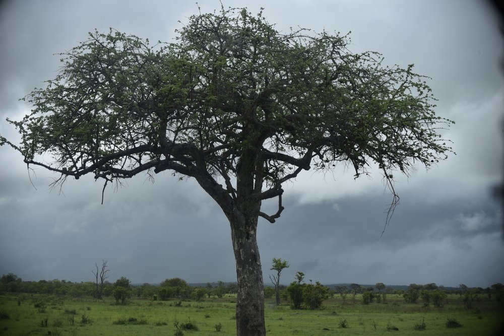 Photograph by Lucia Mwashala