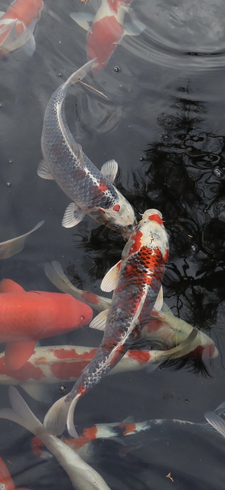 Photograph by Anna Markova