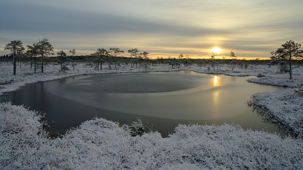 Photograph by Олег Иваницкий