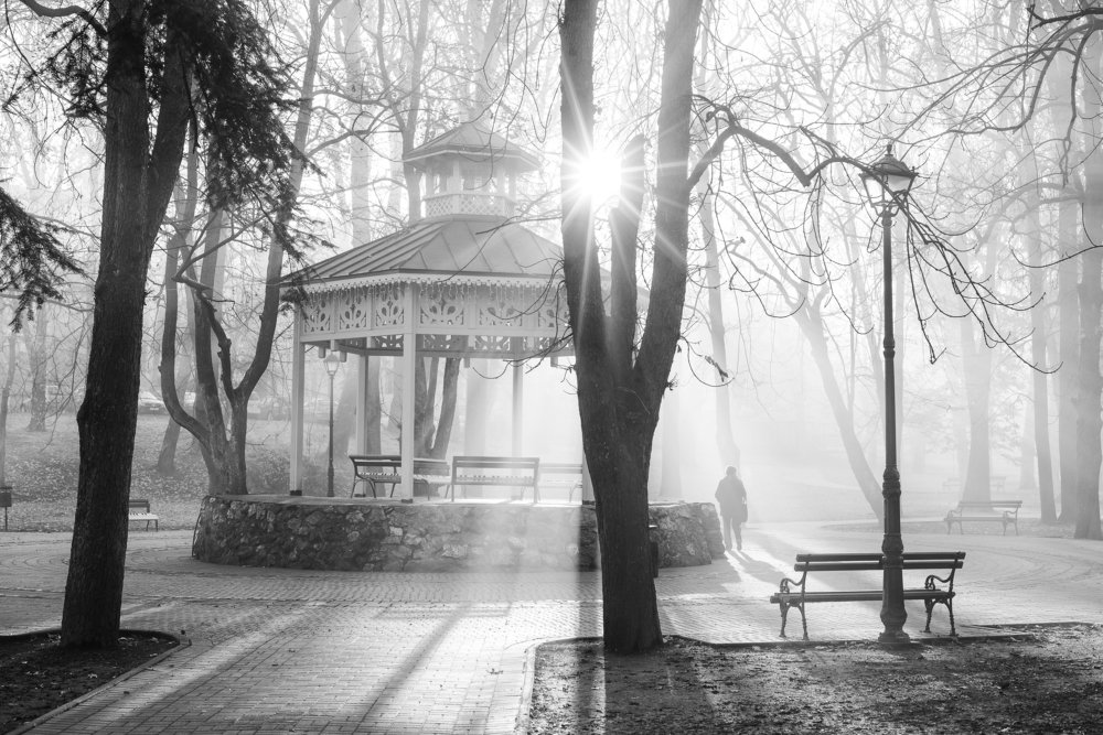 Photograph by Djordje Petrovic