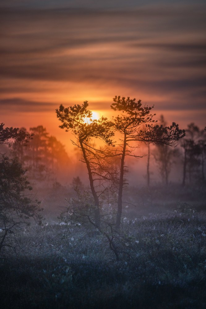 Photograph by Jānis Paļulis