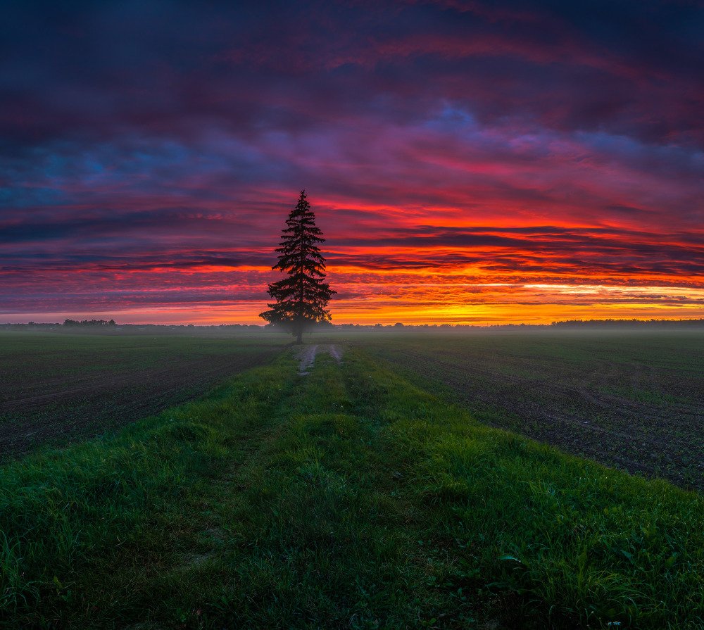 Photograph by Jānis Paļulis