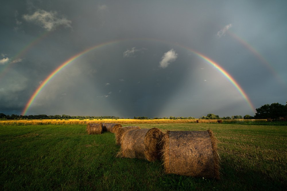 Photograph by Jānis Paļulis