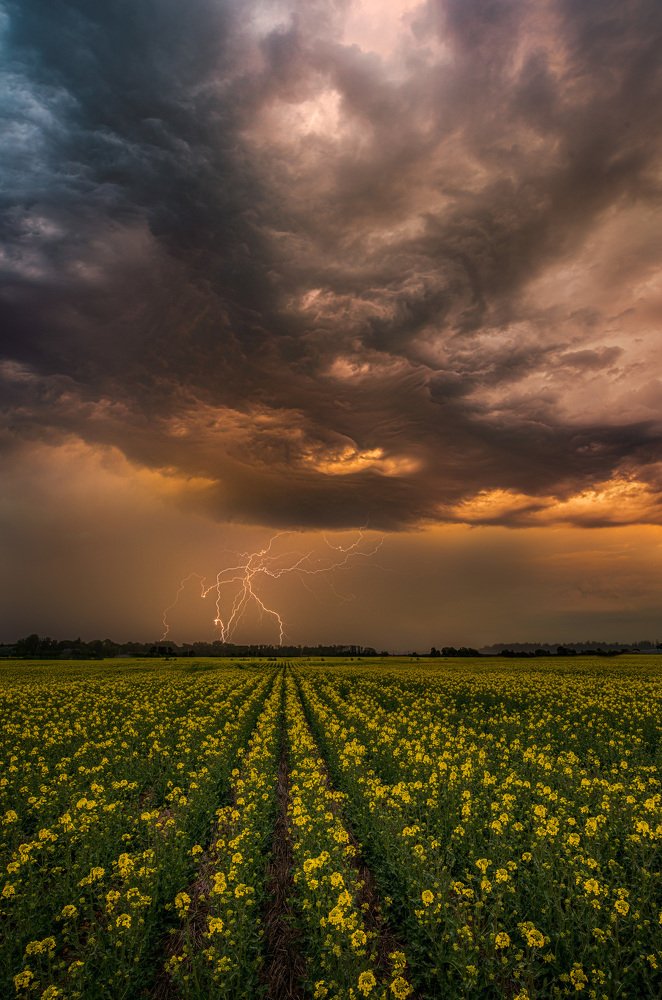 Photograph by Jānis Paļulis