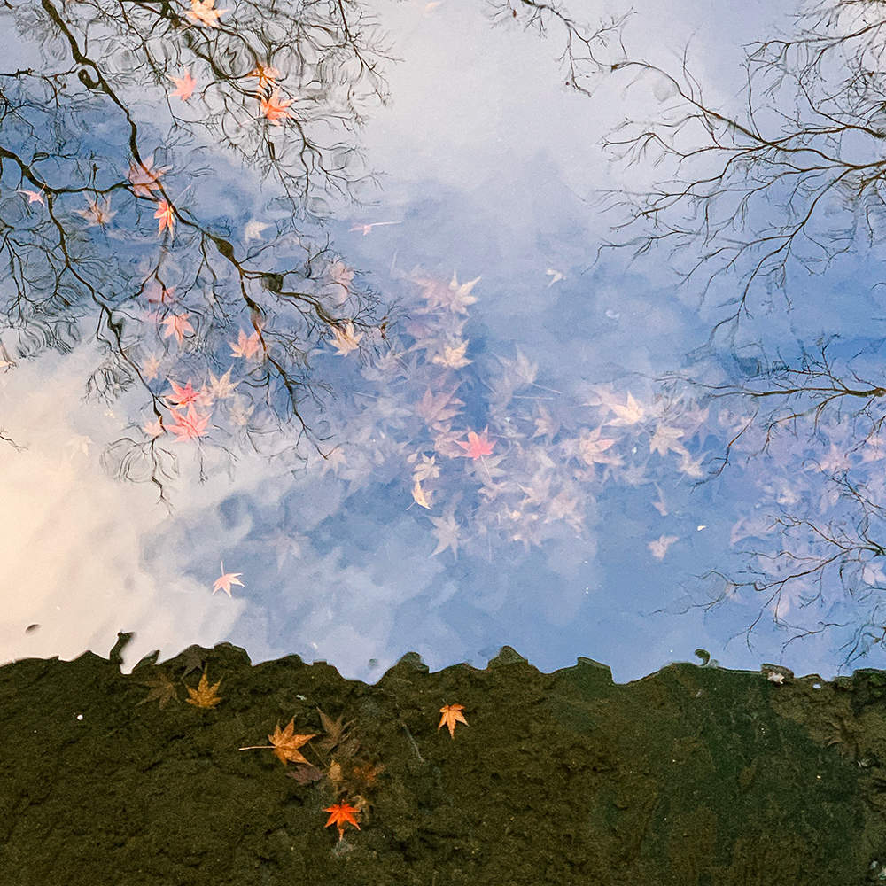 Photograph by Anna Markova