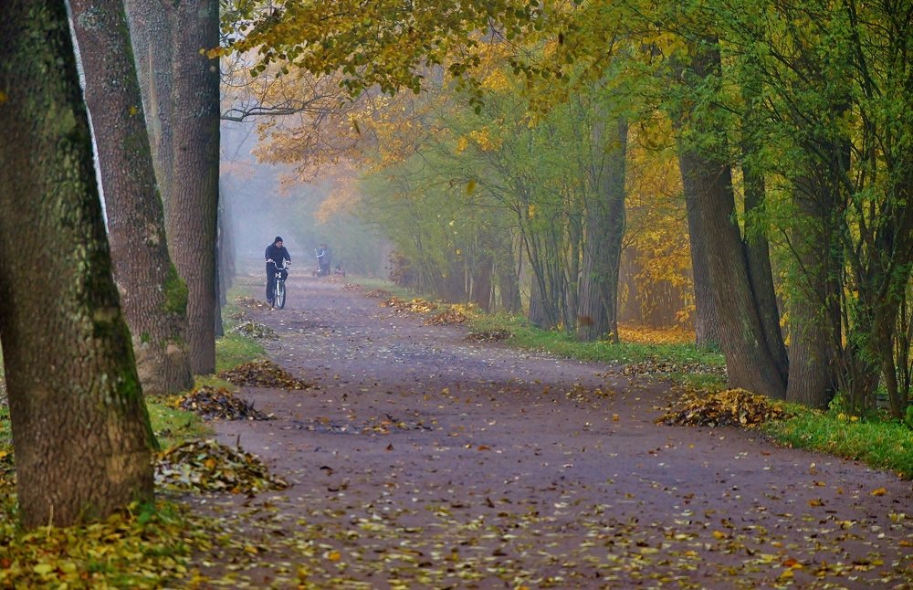 Утренний релакс в парке  ... )