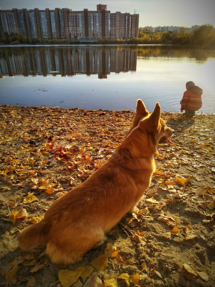 Photograph by Марианна Бельчикова