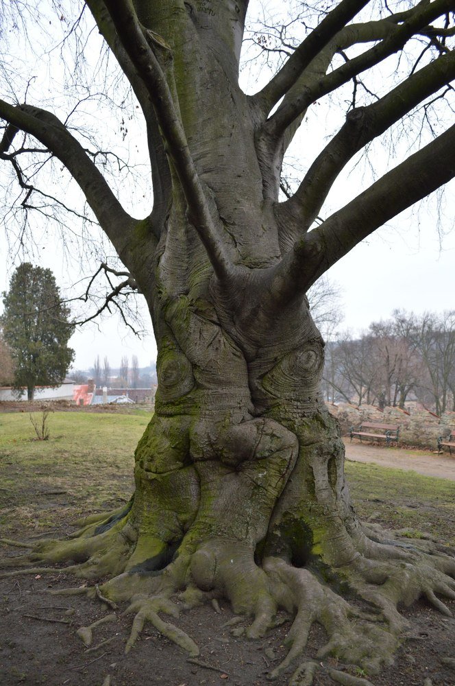 Photograph by Мхитарян Карен