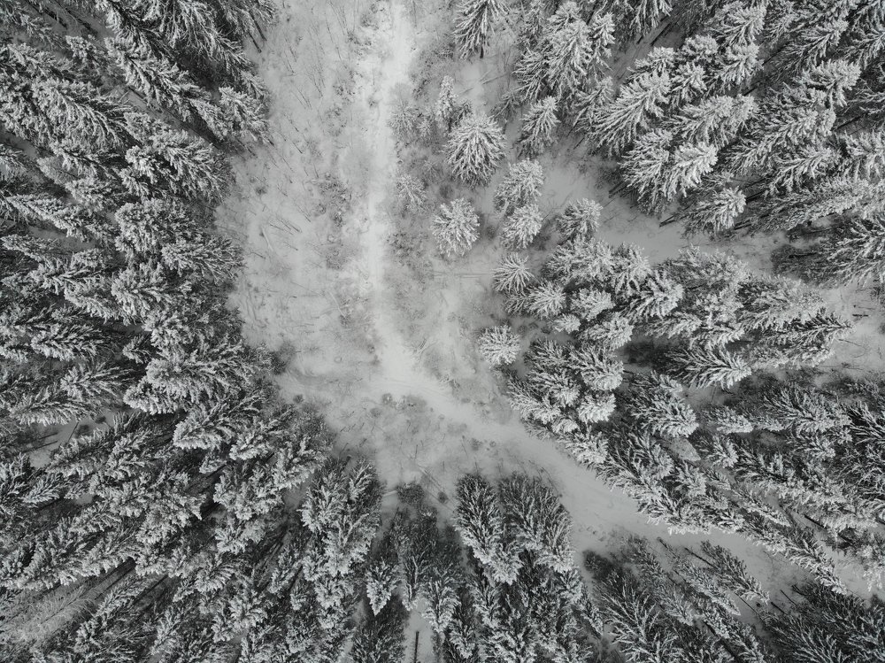 Photograph by Святослав Абросов