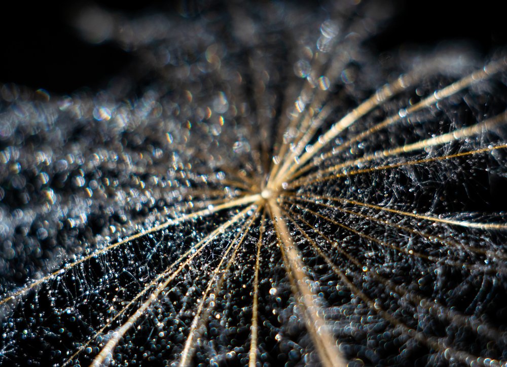 Photograph by Дарья Бобылева