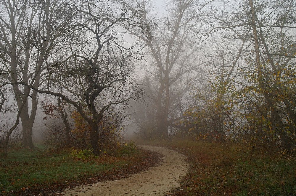 Photograph by Евгений Кулик