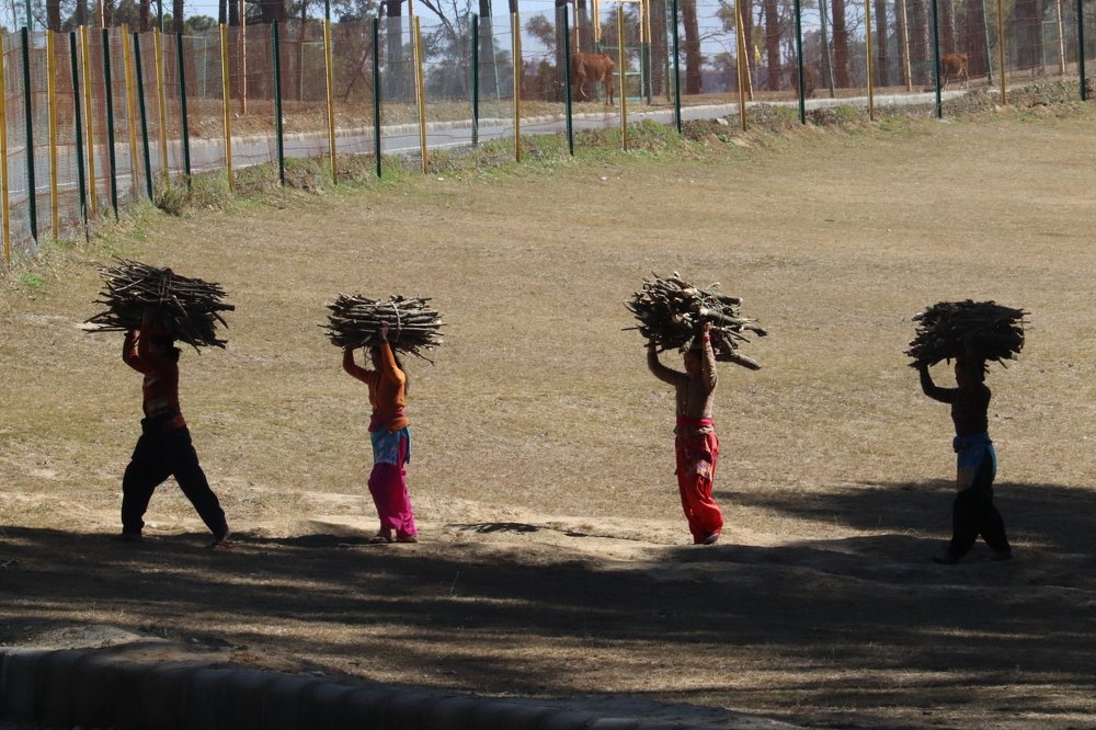 Photograph by Devendra Singh Parihar