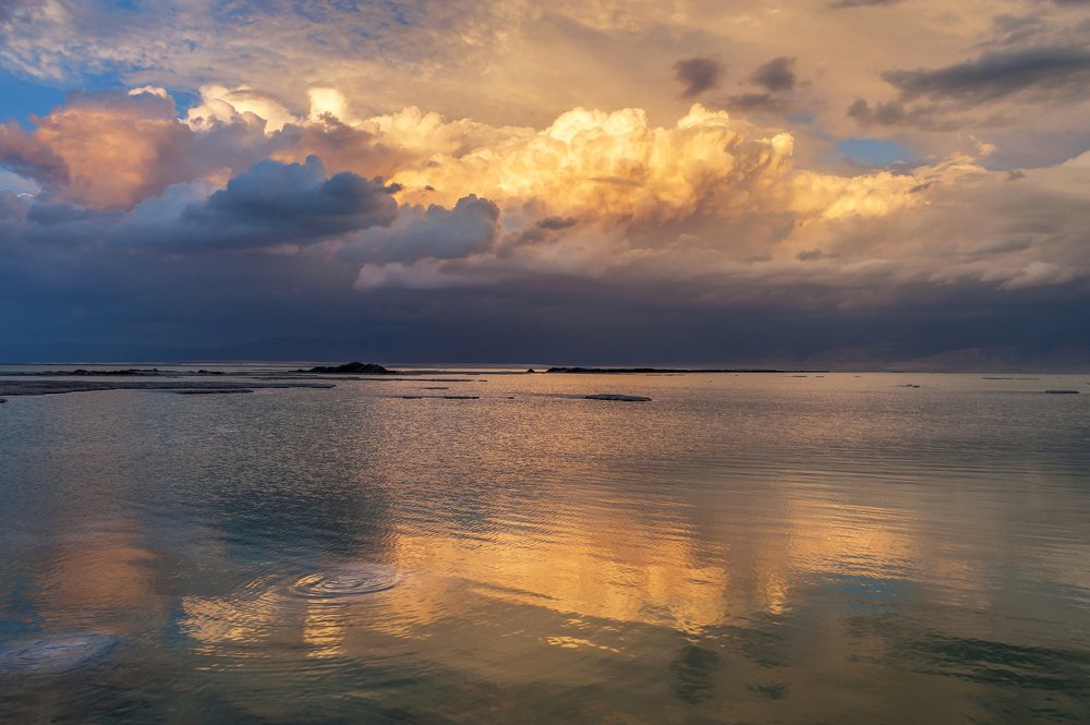 Photograph by Elena Turkov