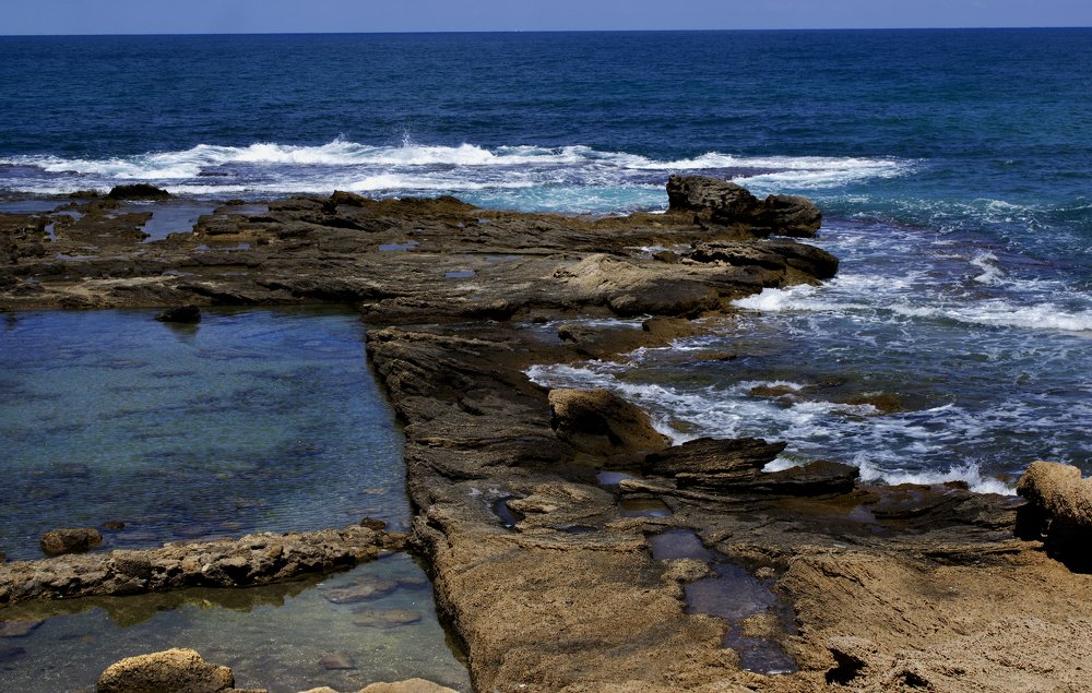 Фотография автора Ольга Забрянская