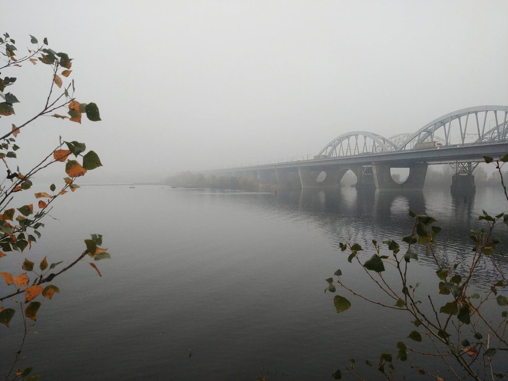Photo #4193655
