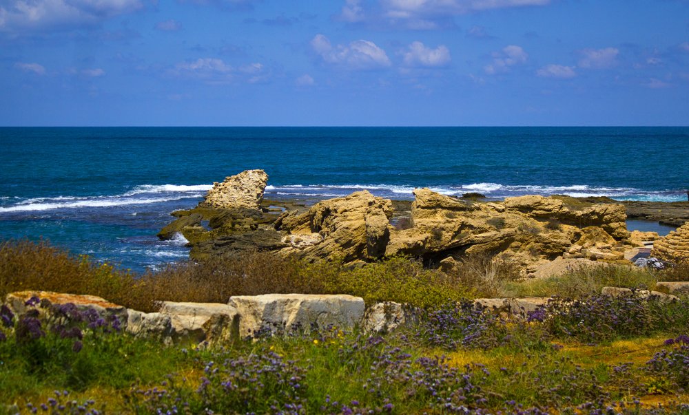 Фотография автора Ольга Забрянская