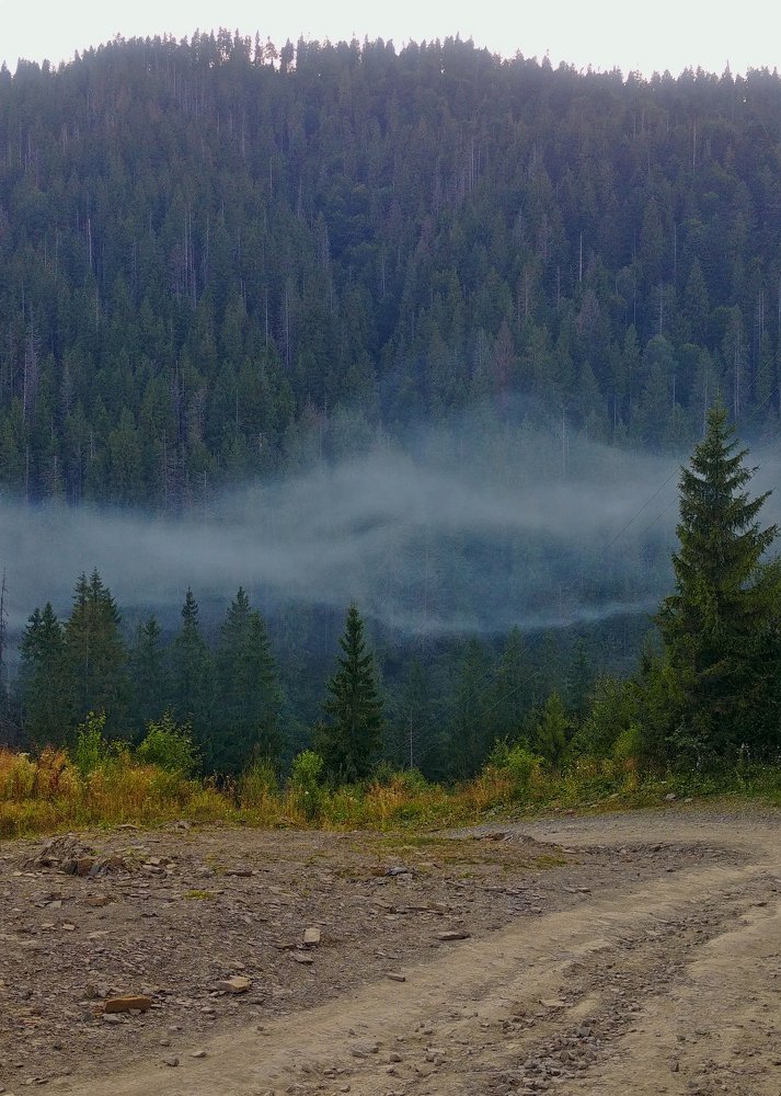 Photo #4193711