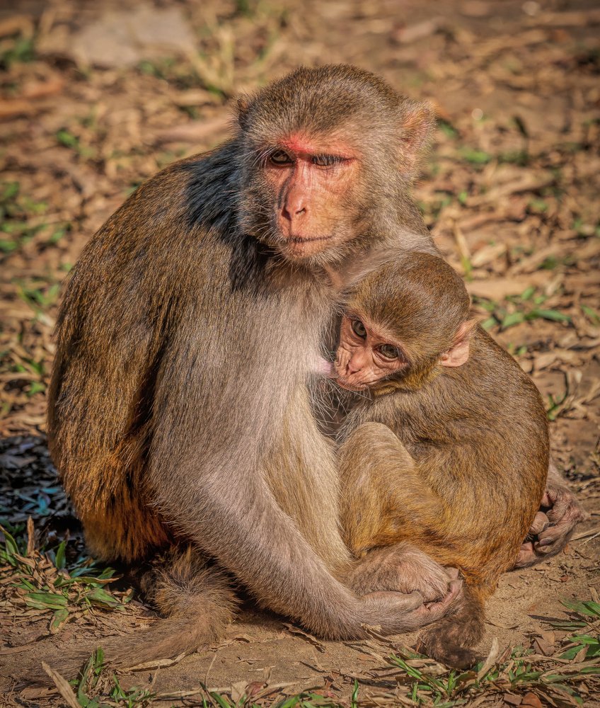 Photograph by Md. Ruhul Amin Farid