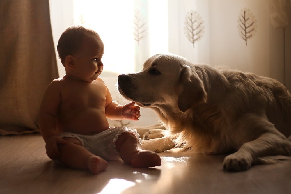 Photograph by Алена Псарева